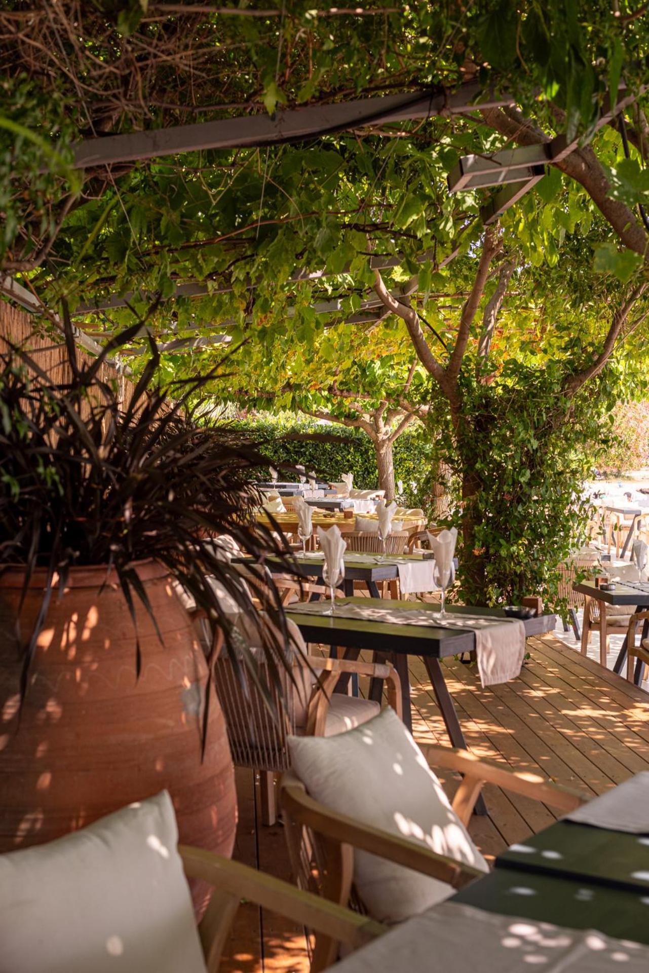 Corissia Beach Hotel Georgioupoli Buitenkant foto